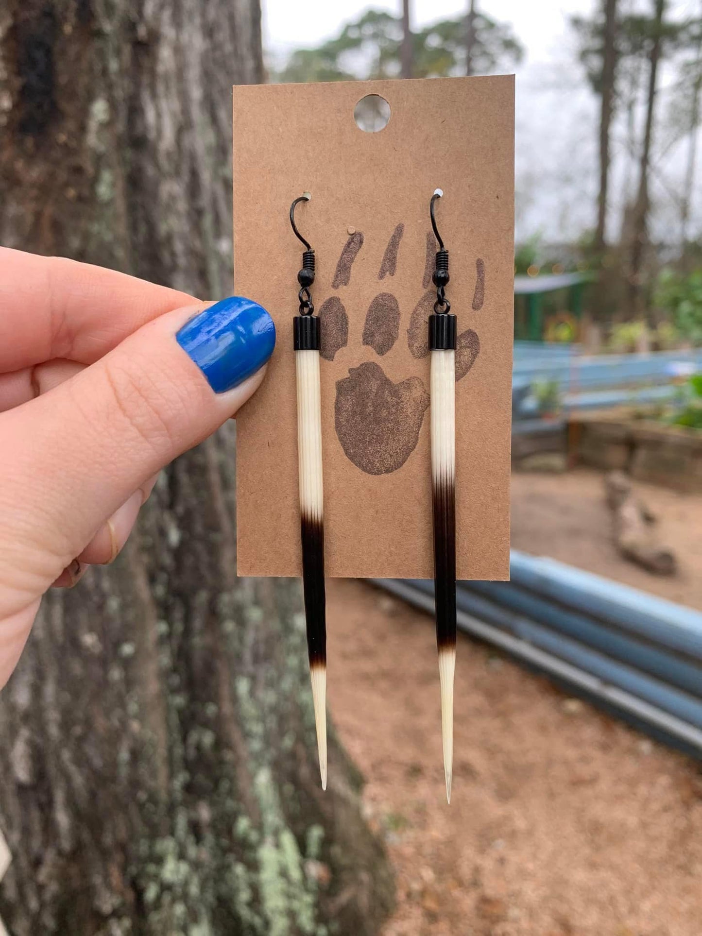 Porcupine Earrings