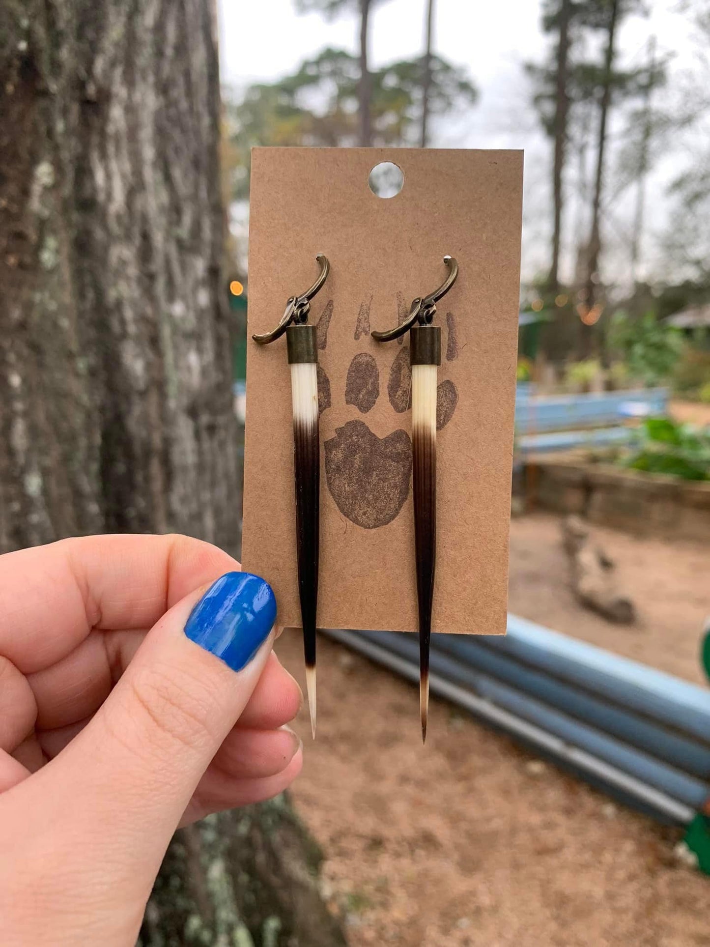 Porcupine Earrings